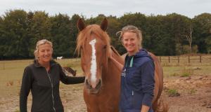 Hippothérapie : les chevaux pour aider le patient à se libérer