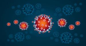 Coronavirus : pourquoi ignorer ce qui fonctionne ailleurs ?