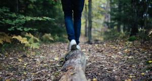Walking Therapy : les psychologues reçoivent leurs patients dans la nature