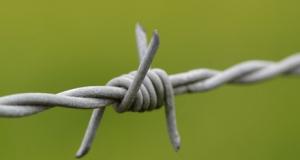 A Bruxelles et en Wallonie, l'aide aux détenus est insuffisante