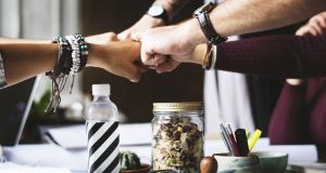 Travail en réseau : proposition de décryptage d'une pratique