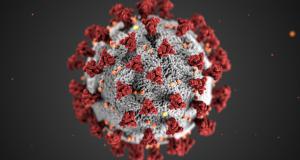 Coronavirus : l'inquiétude des travailleurs de Fedasil