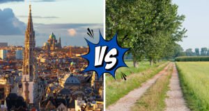L'insertion socio-professionnelle en ville et à la campagne : des réalités très contrastées
