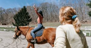 Chevaux thérapeutes : une approche sensible et puissante du soin