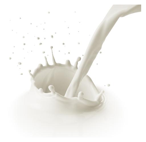 Journée mondiale contre l'ostéoporose