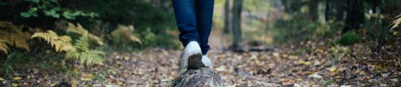 Walking Therapy : les psychologues reçoivent leurs patients dans la nature