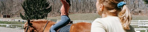 Chevaux thérapeutes : une approche sensible et puissante du soin
