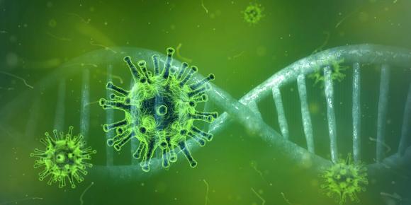 Coronavirus: 