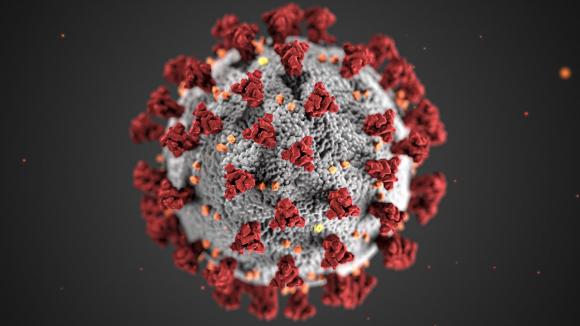 Coronavirus: l'inquiétude des travailleurs de Fedasil