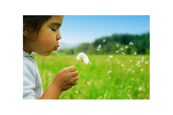 Autisme&nbsp;: l'importance du suivi psycho-social