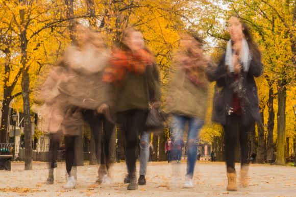 Les centres Infor Jeunes et la Fédération : un travail de collaboration