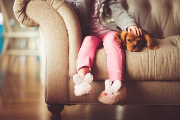 L'Aide à la jeunesse et la Petite enfance&nbsp;: trop compliqués&nbsp;?