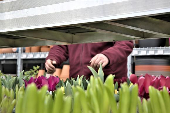 Vague de licenciements dans une Entreprise de Travail Adapté&nbsp;: quel futur pour le secteur&nbsp;?