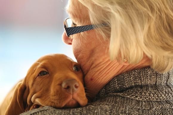 Des chiens pour lutter contre la démence