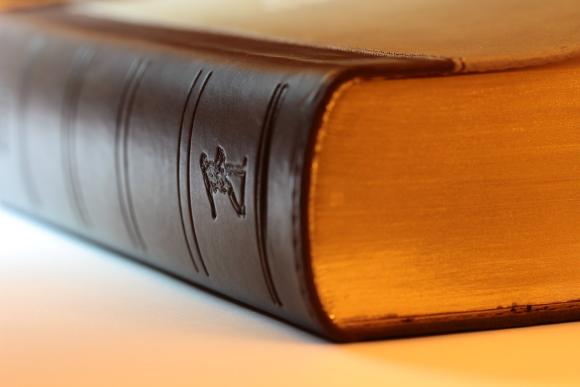 L'ASBL, la société, l'entreprise... toutes égales&nbsp;?