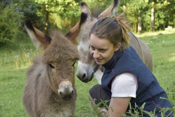 De plus en plus de professionnels utilisent la thérapie par l'animal