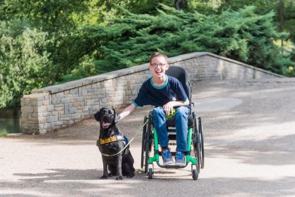 Les chiens d'aide d'Os'mose ? Des fidèles compagnons de l'inclusion !