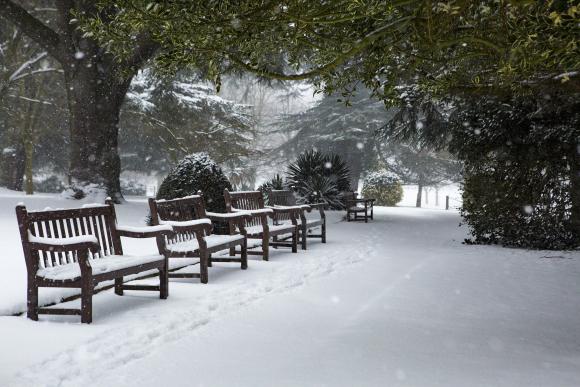 Des renforts pour le Plan Grand-Froid en Wallonie