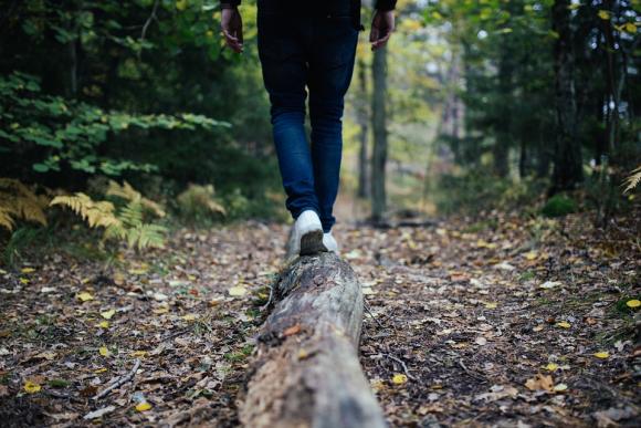 Walking Therapy: les psychologues reçoivent leurs patients dans la nature