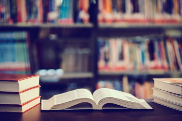 Quelle formation pour devenir psychologue en Belgique&nbsp;?