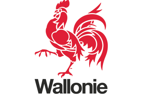 Gouvernement wallon&nbsp;: ministres, cabinets et contacts clés en un dossier pratique