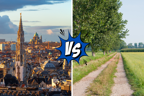 L'insertion socio-professionnelle en ville et à la campagne : des réalités très contrastées