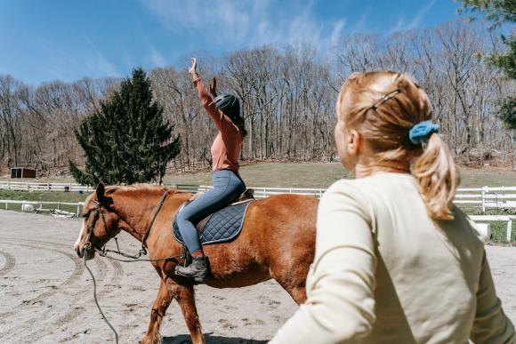 Chevaux thérapeutes&nbsp;: une approche sensible et puissante du soin