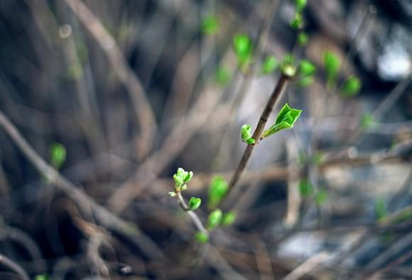 Fin du plan hivernal, comme si tout s'arrêtait au printemps