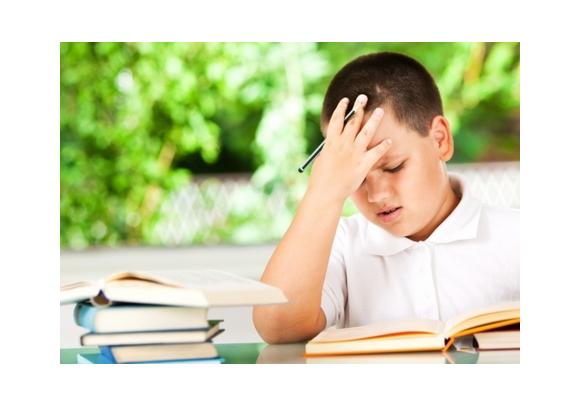 Les écoles de devoirs 