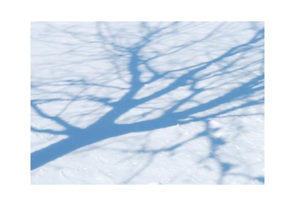 Plan Grand Froid&nbsp;: à vous de jouer!