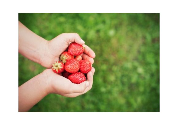 Lancement de la première plate-forme solidaire d'achats alimentaires