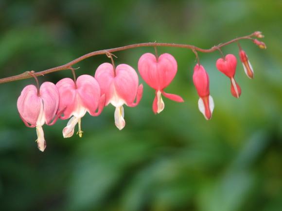 Au moins 237 raisons de faire l'amour...