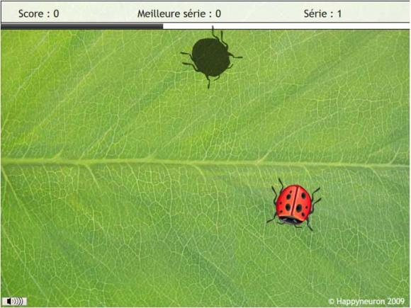 Entraînement gratuit de la mémoire
