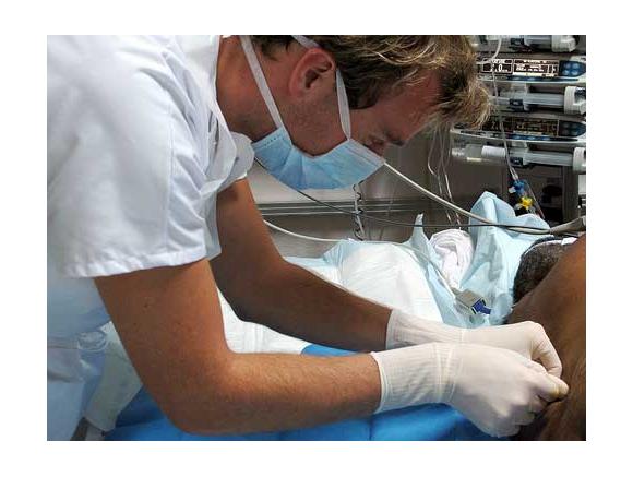 Infirmières&nbsp;: inscriptions en hausse