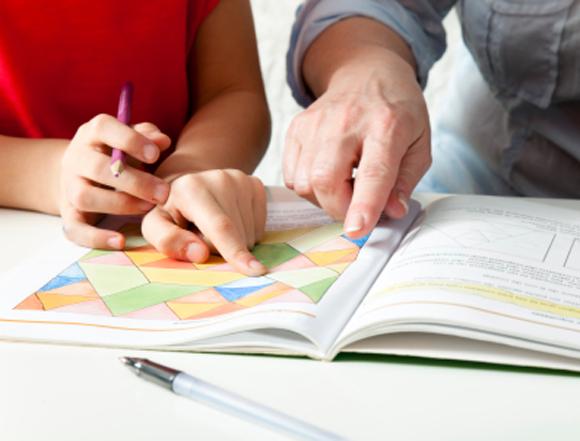 Encore une classe d'enseignement de type 2 dans une école ordinaire !