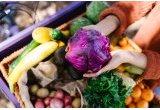 Aide alimentaire, l'approvisionnement en chute libre : 1/3 de budget en moins pour 2026